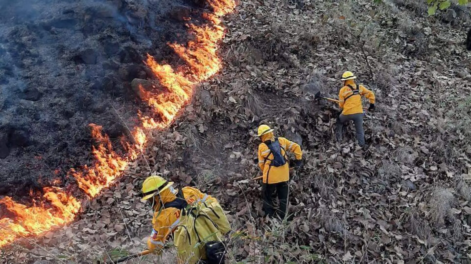 Incendios forestales